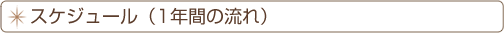 スケジュール(1年間の流れ)