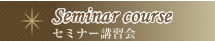 seminar course